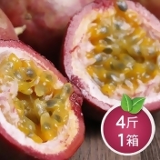 清爽鮮甜埔里中顆百香果4斤 清爽鮮甜埔里中顆百香果4斤
