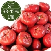 南投信義高山小蓮霧(5斤/箱) 南投信義高山小蓮霧(5斤/箱)