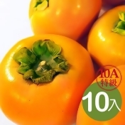 10A特級摩天嶺富有甜柿(10入精美禮盒裝) 10A特級摩天嶺富有甜柿(10入精美禮盒裝)