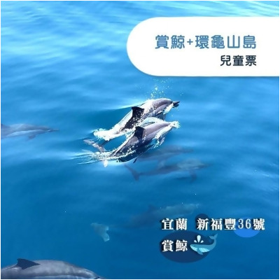 【宜蘭】新福豐36號賞鯨+環龜山島-兒童票 