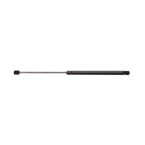 Hood Lift Support Ams Automotive 4989 - All