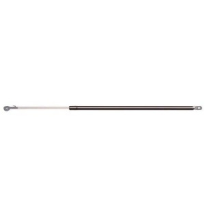 Hatch Lift Support Ams Automotive 4900 - All