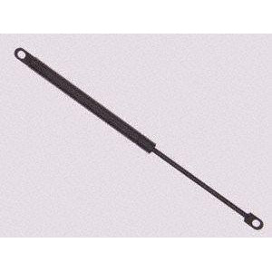 Trunk Lid Lift Support Sachs Sg314003 - All