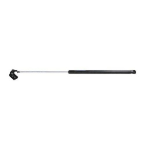 Hatch Lift Support Right Ams Automotive 4839 - All
