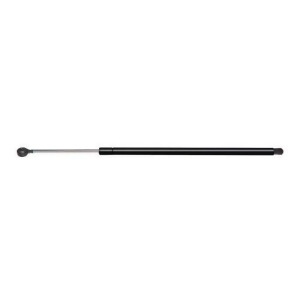 Hatch Lift Support Ams Automotive 4860 - All