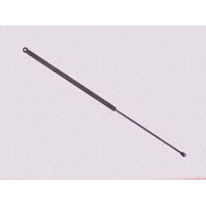 Hood Lift Support Sachs Sg130006 - All