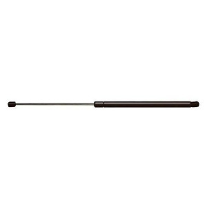 Hatch Lift Support Ams Automotive 4370 - All