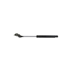 Hood Lift Support Right Ams Automotive 4217R - All