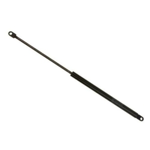 Trunk Lid Lift Support Sachs Sg302004 - All