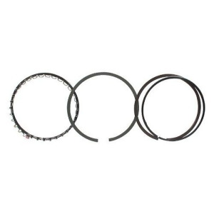 Total Seal T1702-255 Ts1 4.505 Bore Piston Ring Set - All
