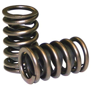 Valve Springs Single With Damper - All