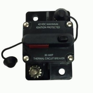 Manual Switchable 80 Amp - All