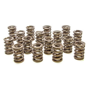 Valve Springs Hr Series 16 - All