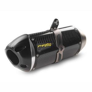 Slip-on Carbon Fiber Canister Without Oem Saddle Bags - All