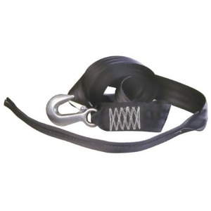 Winch Strap With Tail 2 X 20' - All
