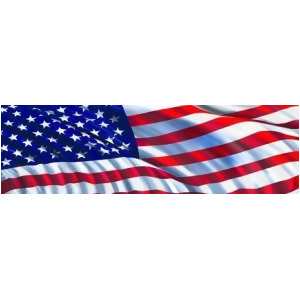 Vantage Point 010082L American Flag In The Wind Rear Window Decal - All