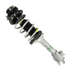 Suspension Strut Assembly-and Coil Spring Assembly Rear Left Sensen 9214-0116 - All