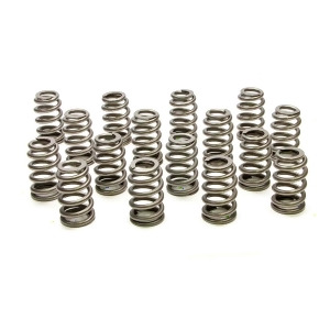 1.307 Valve Springs Ovate Beehive 16 - All