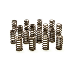Dual Valve Springs Ovate 16 Gm Ls - All