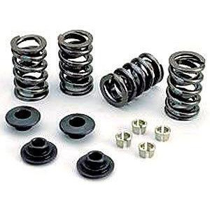 Crane Cams 36308-1 Valve Springs And Retainers Kit For Ford V8 Set Of 16 - All