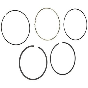 Hastings 2C5158s Single Cylinder Piston Ring Set - All