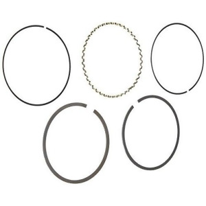 Hastings 2M4689s030 Single Cylinder Piston Ring Set - All