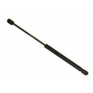 Universal Lift Support Sachs Sg359008 - All