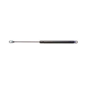 Hood Lift Support Strong Arm 4491 - All