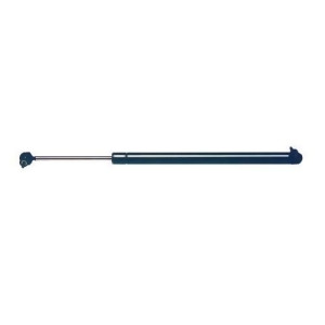 Liftgate Lift Support-Hatch Lift Support Strong Arm 4834 - All
