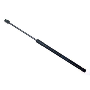 Back Glass Lift Support Sachs Sg304064 - All