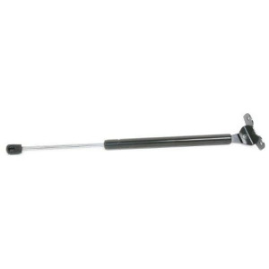 Rhinopac 6175 Hood Lift Support - All