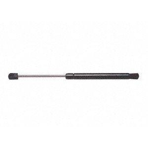 Hatch Lift Support Ams Automotive 4396 - All