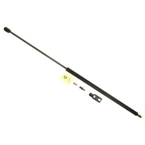 Trunk Lid Lift Support Sachs Sg123002 - All