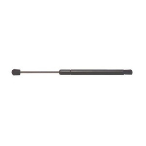 Hood Lift Support Ams Automotive 4336 - All