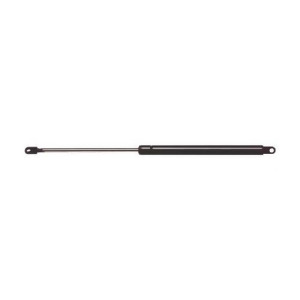 Strongarm 4609 Trunk Lid Lift Support - All