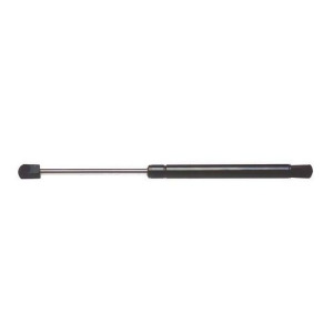 Hood Lift Support Ams Automotive 6361 - All