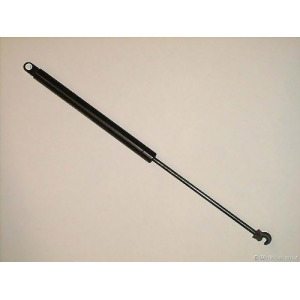 Trunk Lid Lift Support Sachs Sg315002 - All