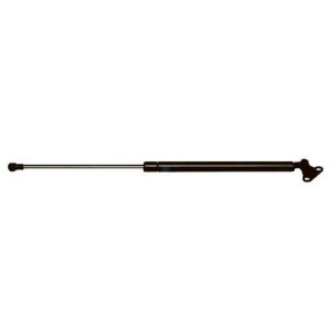Hatch Lift Support Right Ams Automotive 4362R - All