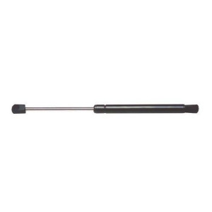 Rhinopac 6242 Hood Lift Support - All