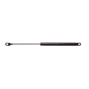 Hatch Lift Support Ams Automotive 4400 - All