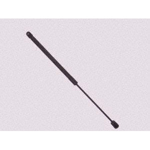 Back Glass Lift Support Sachs Sg304015 - All