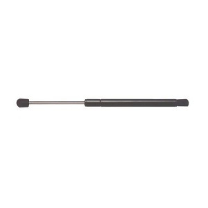 Hood Lift Support Ams Automotive 4341 - All