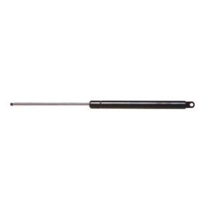 Tailgate Lift Support Ams Automotive 4433 - All