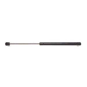 Hatch Lift Support Ams Automotive 4411 - All
