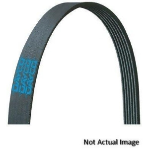 Serpentine Belt Dayco 5080550Dr - All