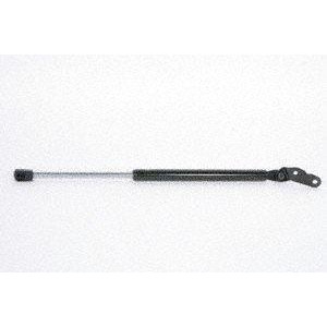 Hatch Lift Support Right Strong Arm 6509R fits 00-04 Toyota Celica - All