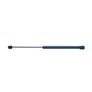 Back Glass Lift Support Strong Arm 4356 - All