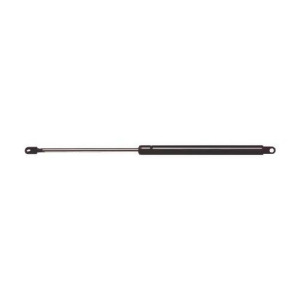Hood Lift Support Strong Arm 4034 - All