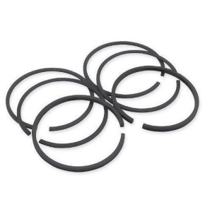 Hastings 2C4499s Single Cylinder Piston Ring Set - All