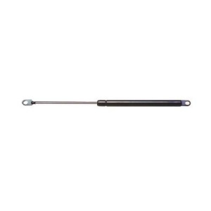 Hood Lift Support Strong Arm 4421 - All